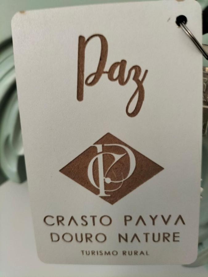 Crasto Payva Douro Nature カステロ・デ・パイヴァ エクステリア 写真