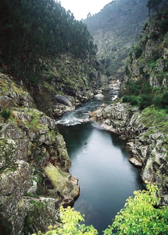 Crasto Payva Douro Nature カステロ・デ・パイヴァ エクステリア 写真